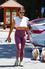 LUCY HALE Out with Her Dogs in Los Angeles 06/17/2022