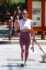 LUCY HALE Out with Her Dogs in Los Angeles 06/17/2022