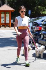 LUCY HALE Out with Her Dogs in Los Angeles 06/17/2022