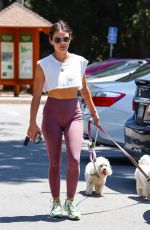 LUCY HALE Out with Her Dogs in Los Angeles 06/17/2022