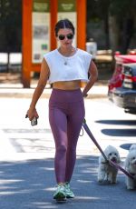 LUCY HALE Out with Her Dogs in Los Angeles 06/17/2022
