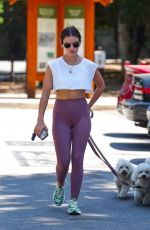 LUCY HALE Out with Her Dogs in Los Angeles 06/17/2022