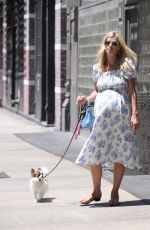 Pregnant NICKY HILTON Out with Her Dog in New York 06/20/2022