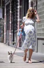 Pregnant NICKY HILTON Out with Her Dog in New York 06/20/2022