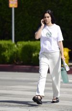 Pregnant SHANINA SHAIK Out for Lunch in West Hollywood 06/02/2022