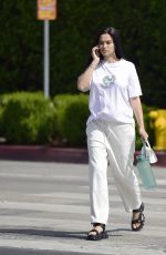 Pregnant SHANINA SHAIK Out for Lunch in West Hollywood 06/02/2022