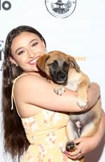 TEILOR GRUBBS at Wagmor Pets Inaugural Pet Gala in Los Angeles 06/27/2022