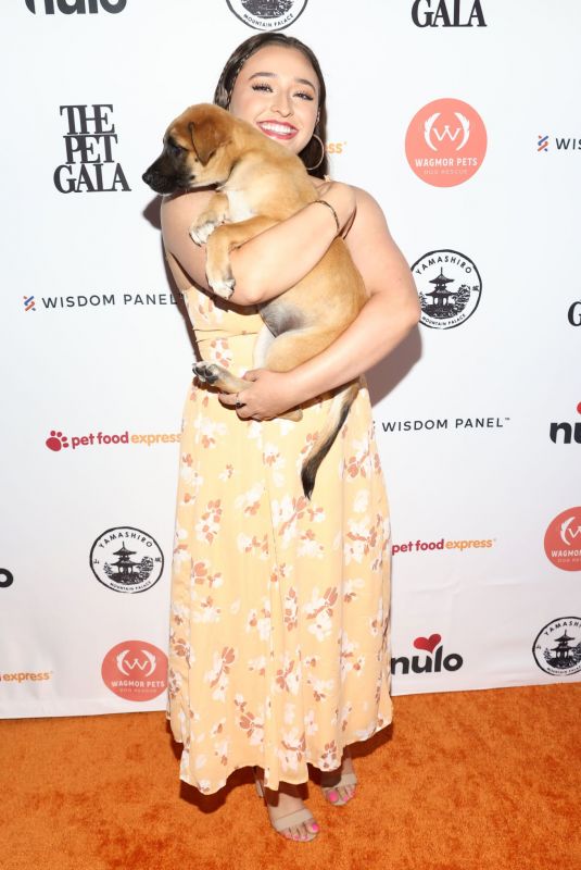 TEILOR GRUBBS at Wagmor Pets Inaugural Pet Gala in Los Angeles 06/27/2022