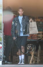 WILLOW SMITH Out Shopping in Calabasas 06/18/2022