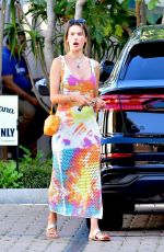 ALESSANDRA AMBROSIO and Richard Lee Out in Malibu 07/29/2022