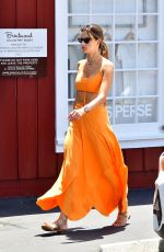 ALESSANDRA AMBROSIO Out Shopping for Gifts at Brentwood Country Mart 07/27/2022