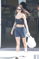 AMELIA HAMLIN Shopping at a Pet Store in Los Angeles 07/29/2022