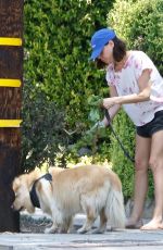 AUBREY PLAZA Out with Her Dogs in Los Feliz 07/17/2022