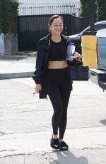 CARA SANTANA Leaves a Gym in West Hollywood 07/26/2022