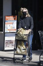 CYBIL SHEPHERD Out for Grocery Shopping in Los Angeles 07/04/2022