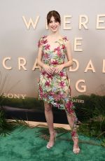 DAISY EDGAR JONES at Where the Crawdads Sing Screening in New York 07/11/2022