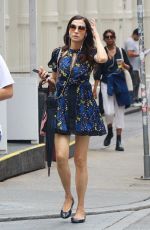 FAMKE JANSSEN Out Shopping in New York 07/25/2022