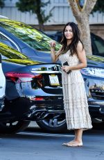 JENNA DEWAN Out Shopping in Los Angeles 06/30/2022