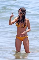JORDANA BREWSTER in Bikini at a Beach in Santa Monica 07/02/2022