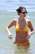 JORDANA BREWSTER in Bikini at a Beach in Santa Monica 07/02/2022