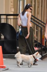 KAIA GERBER Out with Her Dog in New York 07/25/2022