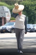 KIM BASINGER Out in Los Angeles 07/28/2022