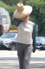 KIM BASINGER Out in Los Angeles 07/28/2022
