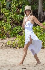 LISA RINNA Out on the Beach in Maui 07/23/2022