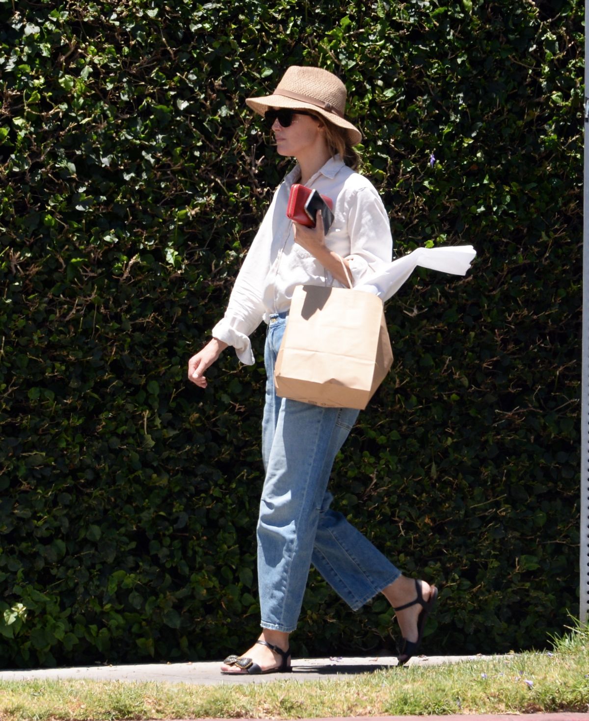 ROSE BYRNE Out Shopping at McCall’s Meat & Fish Co in Los Angeles 06/30 ...