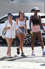 SCOUT WILLIS Out for Lunch with Friends at Oaks Gourmet in Los Angeles 07/21/2022