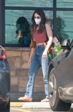 ALISON BRIE Shopping at Gelson