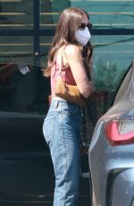 ALISON BRIE Shopping at Gelson
