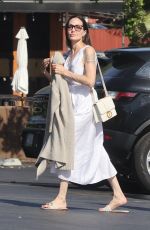 ANGELINA JOLIE Leaves Grocery Store in Los Feliz 08/15/2022