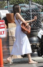 ANGELINA JOLIE OUt Shopping for Plants in Los Angeles 08/27/2022