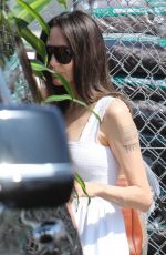 ANGELINA JOLIE OUt Shopping for Plants in Los Angeles 08/27/2022
