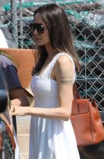 ANGELINA JOLIE OUt Shopping for Plants in Los Angeles 08/27/2022