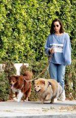 AUBREY PLAZA Out Walks with Her Dogs in Los Feliz 08/18/2022