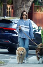AUBREY PLAZA Out Walks with Her Dogs in Los Feliz 08/18/2022