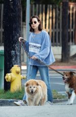 AUBREY PLAZA Out Walks with Her Dogs in Los Feliz 08/18/2022