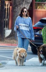 AUBREY PLAZA Out Walks with Her Dogs in Los Feliz 08/18/2022