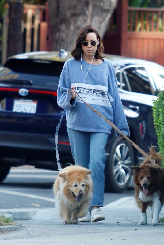 AUBREY PLAZA Out Walks with Her Dogs in Los Feliz 08/18/2022