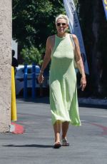 BRIGITTE NIELSEN Out and About in Los Angeles 08/17/2022