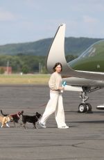 CALISTA FLOCKHART Out with Her Dogs in Boston 08/29/2022