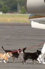 CALISTA FLOCKHART Out with Her Dogs in Boston 08/29/2022