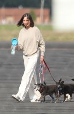 CALISTA FLOCKHART Out with Her Dogs in Boston 08/29/2022