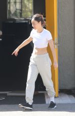 CARA SANTANA Stretches Out Before Hetting Her Workout Done in Los Angeles 08/12/2022