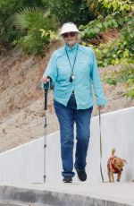 CYBIL SHEPHERD Out with Her Dogs in Los Angeles 08/01/2022