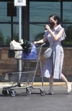 DITA VON TEESE and Adam Rajcevich Out Shopping in Los Angeles 08/09/2022
