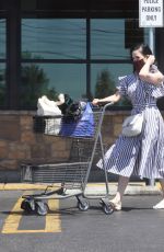 DITA VON TEESE and Adam Rajcevich Out Shopping in Los Angeles 08/09/2022