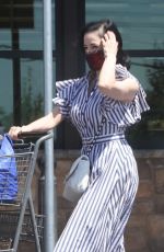 DITA VON TEESE and Adam Rajcevich Out Shopping in Los Angeles 08/09/2022